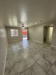 IMG_4917.jpg